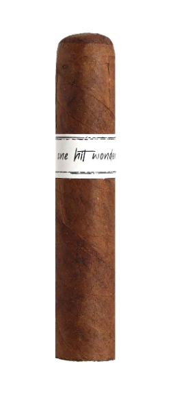 Lost & Found One Hit Wonder Short Robusto